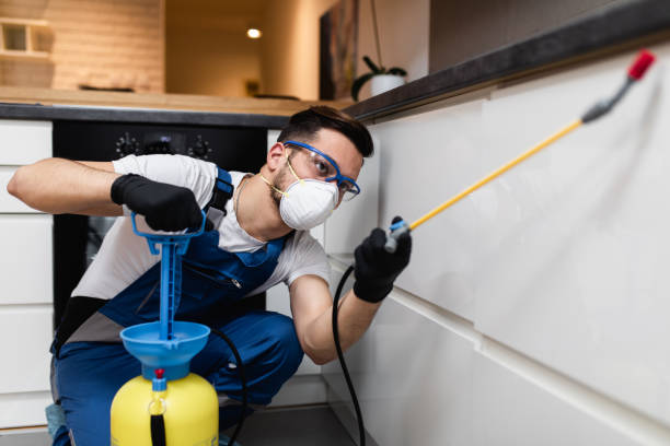 Pest Control for Restaurants in Highpoint, OH