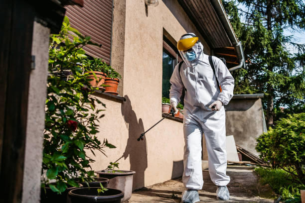 Best Mosquito Control Services  in Highpoint, OH