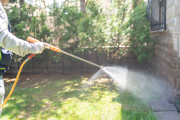 Best Wasp Removal Services  in Highpoint, OH