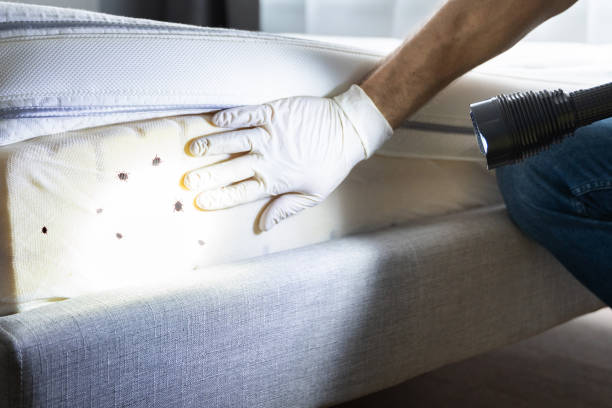Best Affordable Pest Control Services  in Highpoint, OH