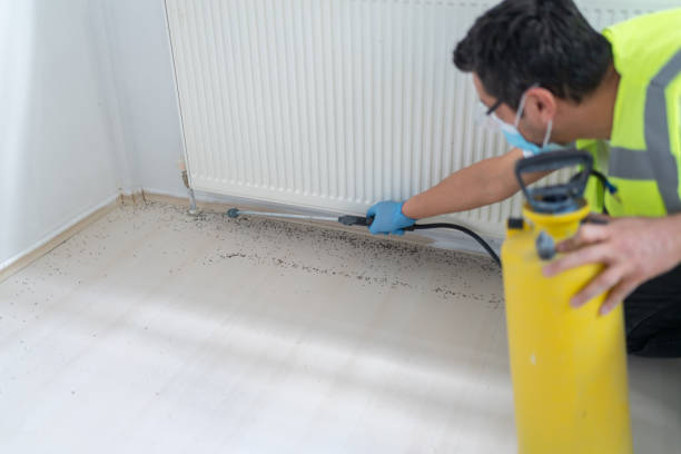 Best Pest Inspection Near Me  in Highpoint, OH