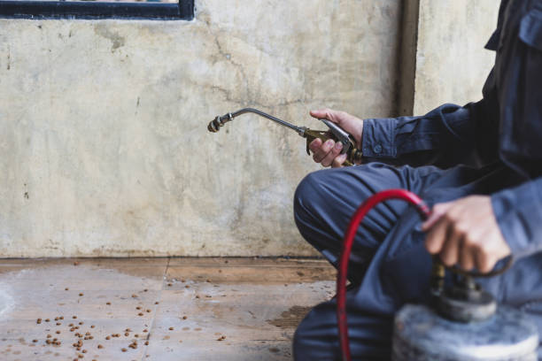 Best Local Pest Control Services  in Highpoint, OH